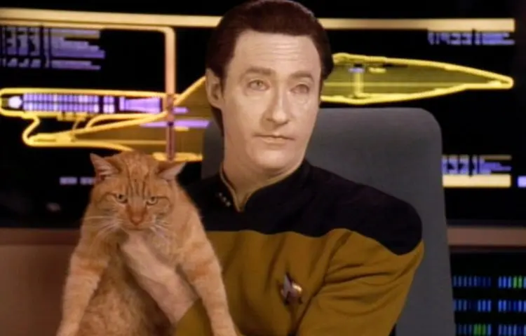 Data和他养的猫Spot(斑斑)
